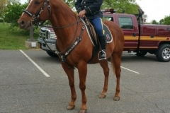 20150506_102929_resized