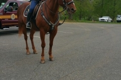 20150506_102945_resized