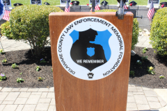 IMG_5800_result_result