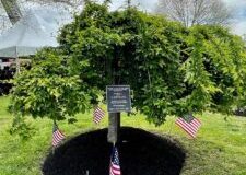 281011086_10158454497721571_1216755675182705725_n-225x300